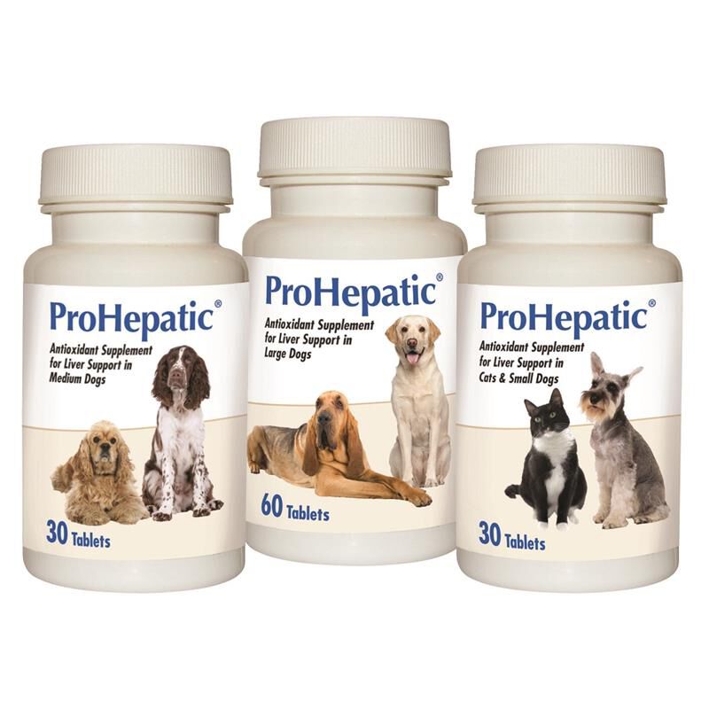 Medicine for dogs liver best sale