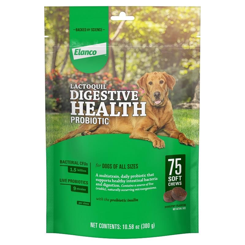 Fashion soft chew dry dog food