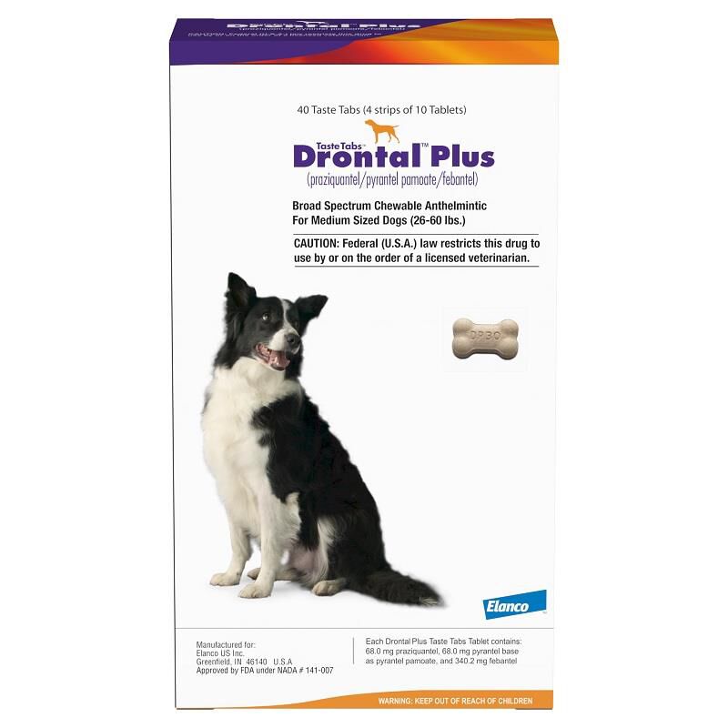 Drontal Plus Taste Tab Giant Eagle Pet Pharmacy