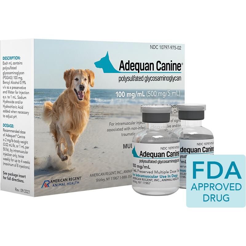 Injectable allergy medicine for dogs sale