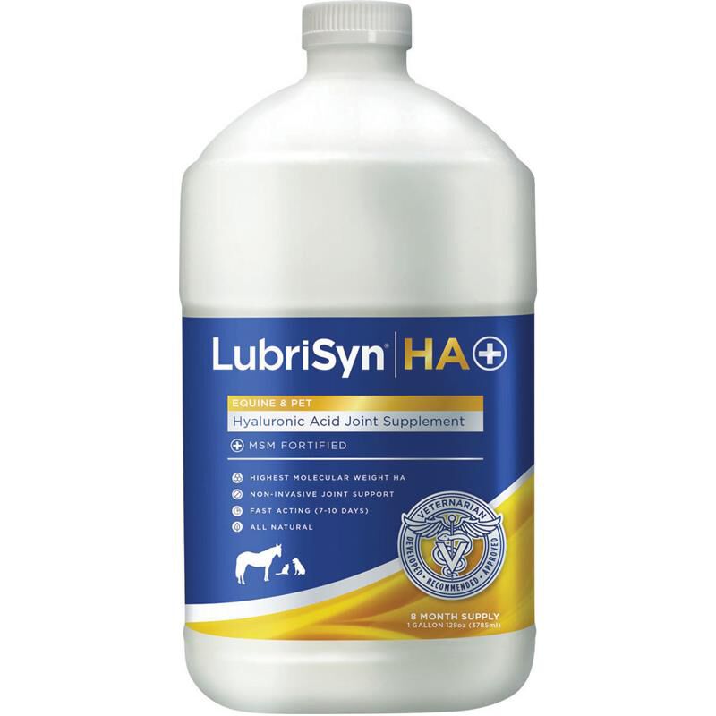 Lubrisyn hot sale for dogs