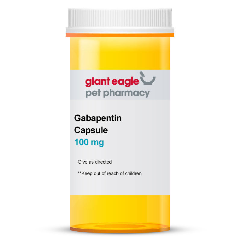 Gabapentin fashion for dogs