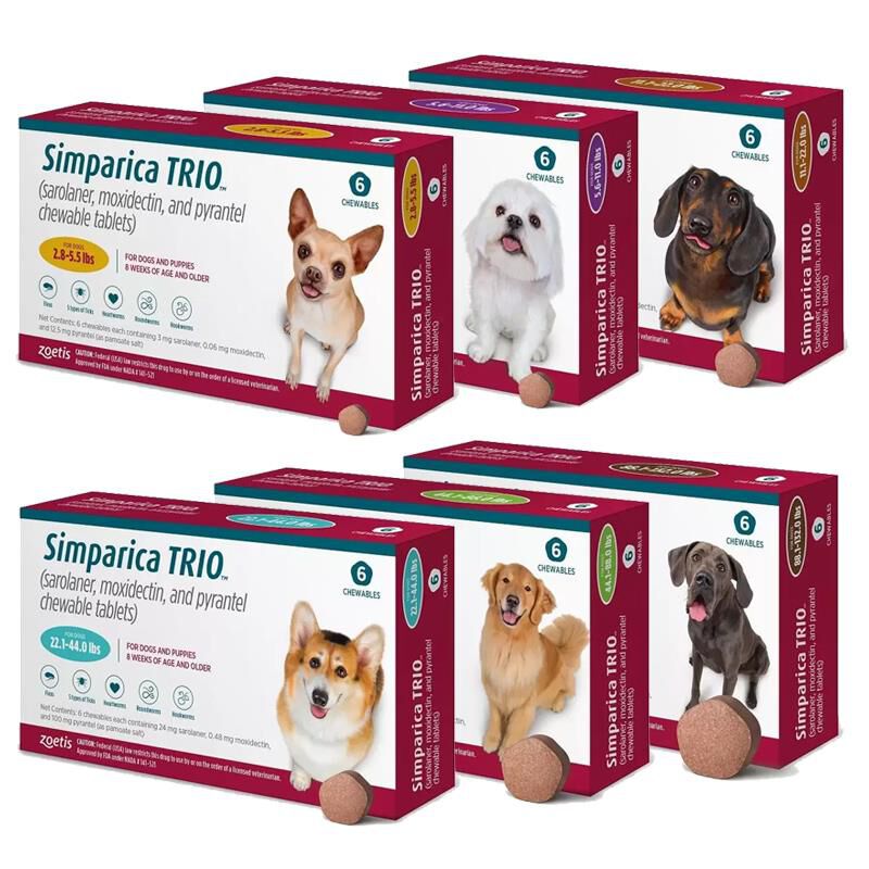 Oral flea and tick meds best sale