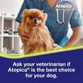 Atopica for Dogs, 15 Capsules