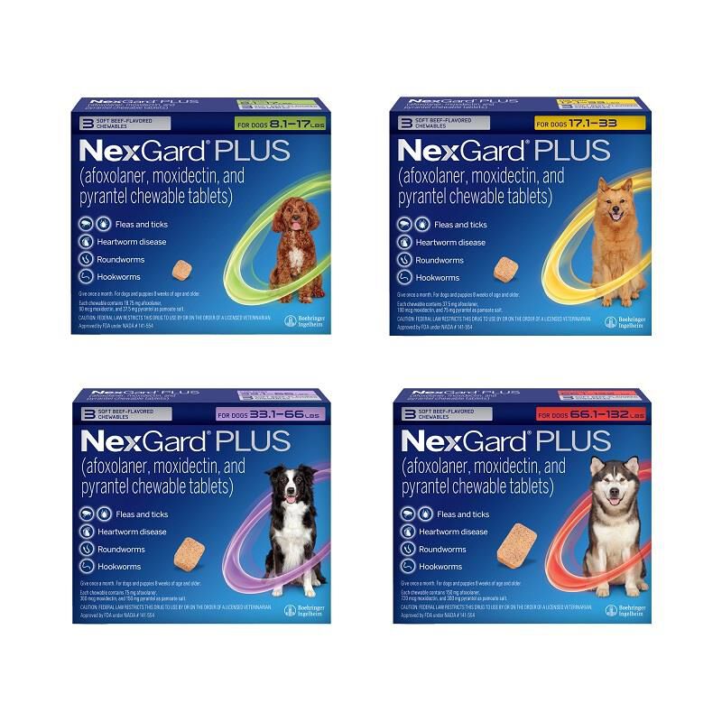 Order nexgard hot sale chewables