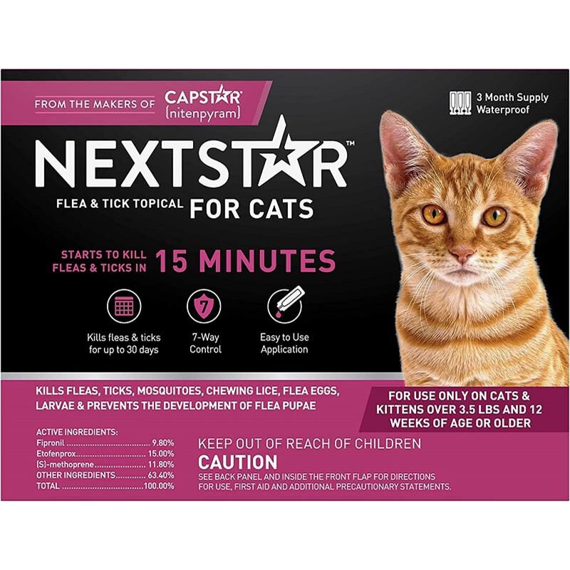 Capstar for cats uk best sale