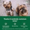 Credelio Flea & Tick Chewable Tablets for Dogs & Puppies