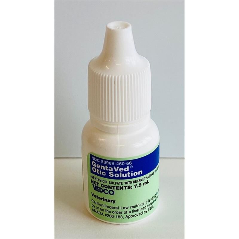 Over counter dog ear infection medicine best sale