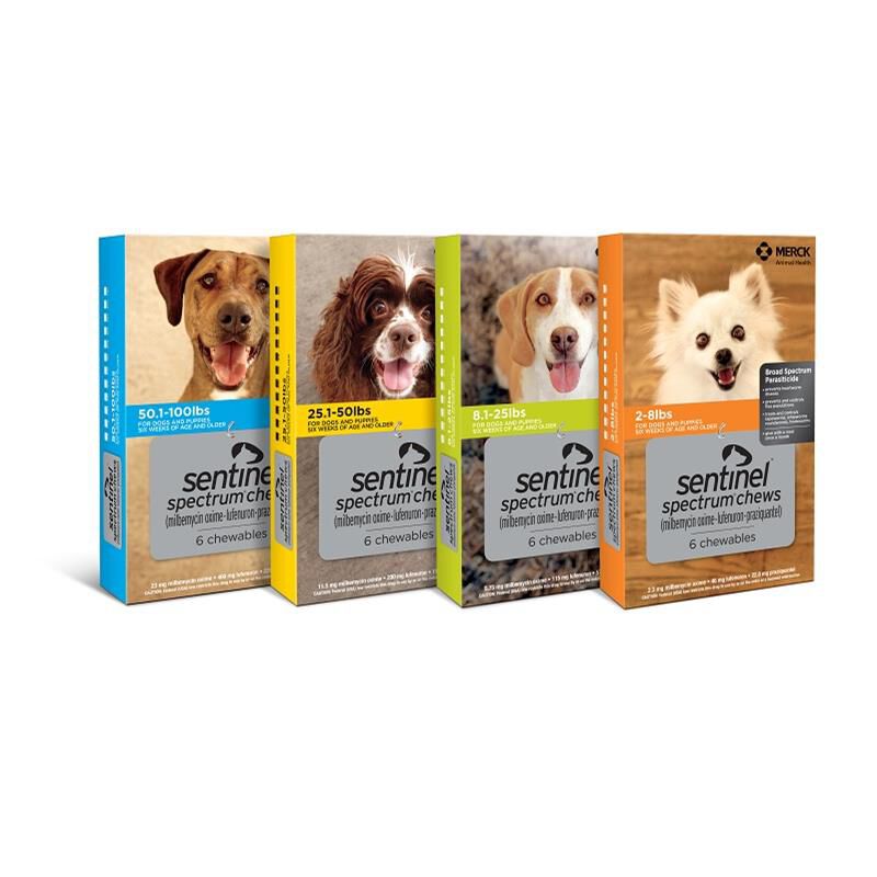 Sentinel heartworm shop pills for dogs