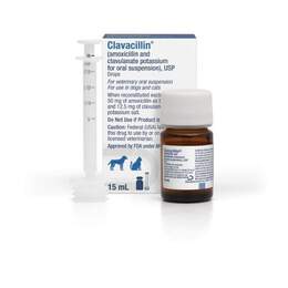 Clavacillin (Amoxicillin and Clavulanate Potassium) Oral Suspension Drops for Dogs and Cats, 15 ml