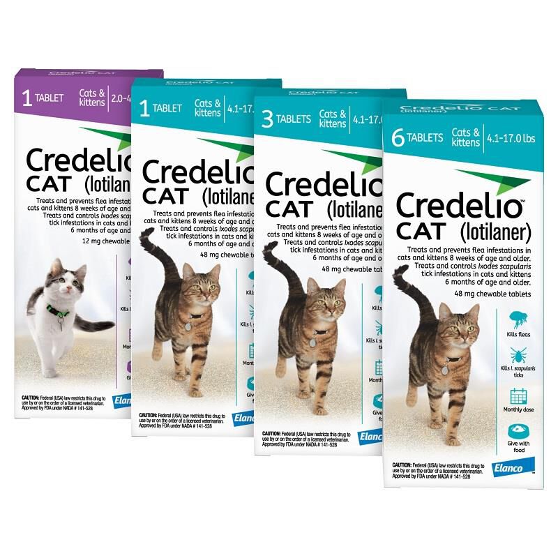 Best flea and tick medication for cats best sale