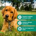 Atopica for Dogs, 15 Capsules